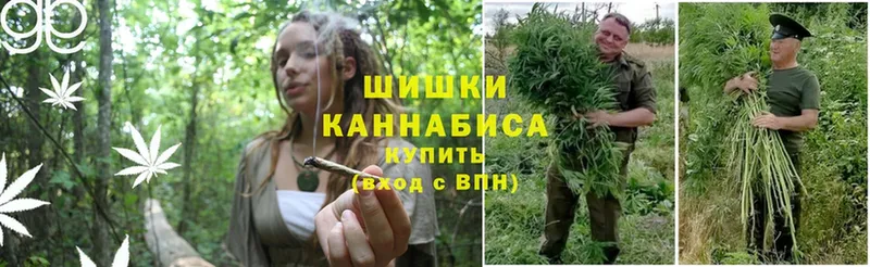 купить   Шлиссельбург  Марихуана SATIVA & INDICA 